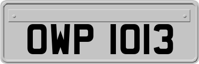OWP1013