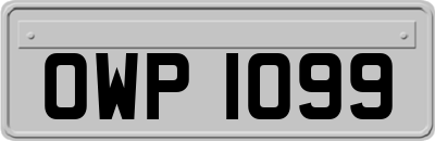 OWP1099