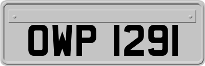 OWP1291