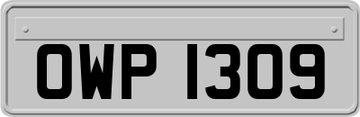 OWP1309