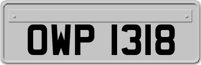 OWP1318