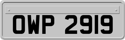 OWP2919