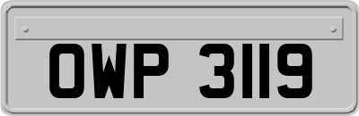 OWP3119