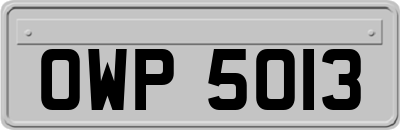 OWP5013