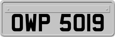 OWP5019