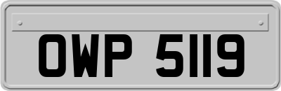 OWP5119