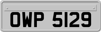 OWP5129