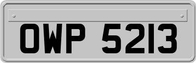 OWP5213
