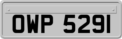 OWP5291
