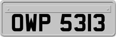 OWP5313