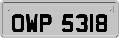 OWP5318