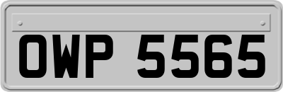 OWP5565