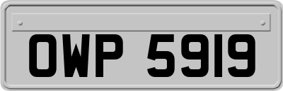 OWP5919