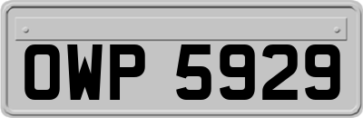 OWP5929
