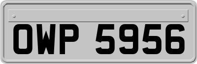 OWP5956