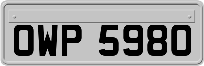 OWP5980