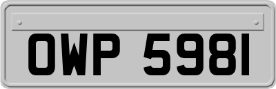 OWP5981