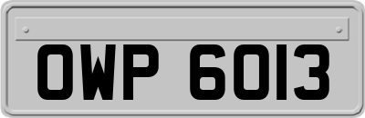 OWP6013