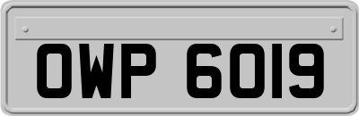 OWP6019