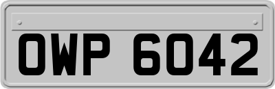 OWP6042