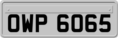 OWP6065