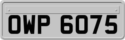 OWP6075