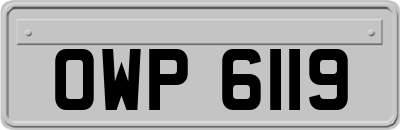 OWP6119