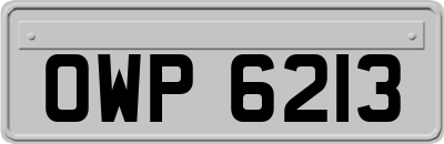 OWP6213