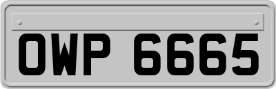OWP6665