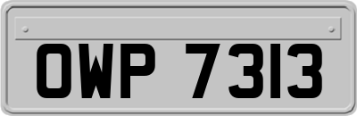 OWP7313