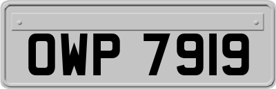 OWP7919