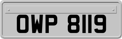 OWP8119