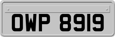 OWP8919