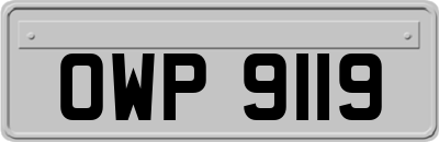 OWP9119