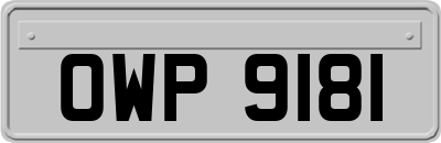 OWP9181