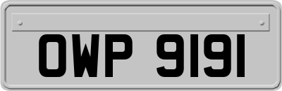 OWP9191