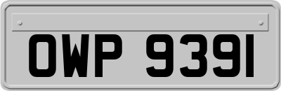 OWP9391
