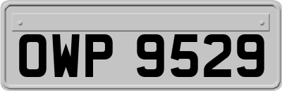 OWP9529