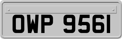 OWP9561