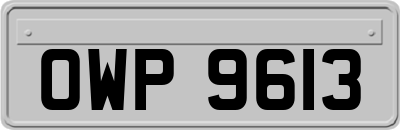 OWP9613