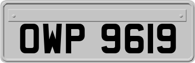 OWP9619