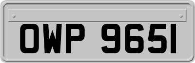 OWP9651