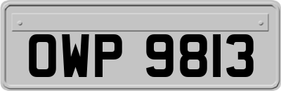 OWP9813