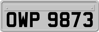 OWP9873