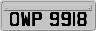 OWP9918