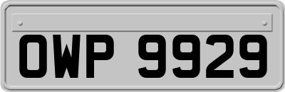 OWP9929