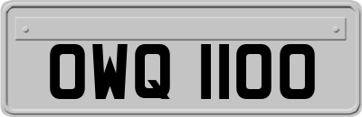 OWQ1100