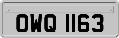 OWQ1163