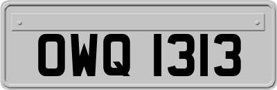 OWQ1313