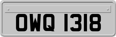 OWQ1318